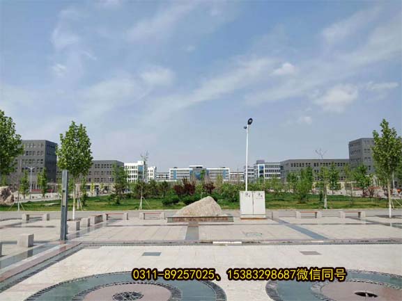 石家庄医学高等专科学校春日美景040.jpg