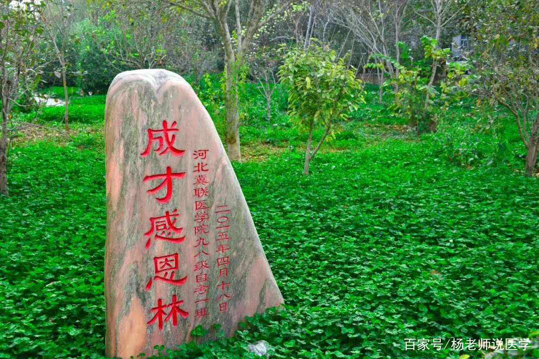 微信图片_20220323131958.jpg