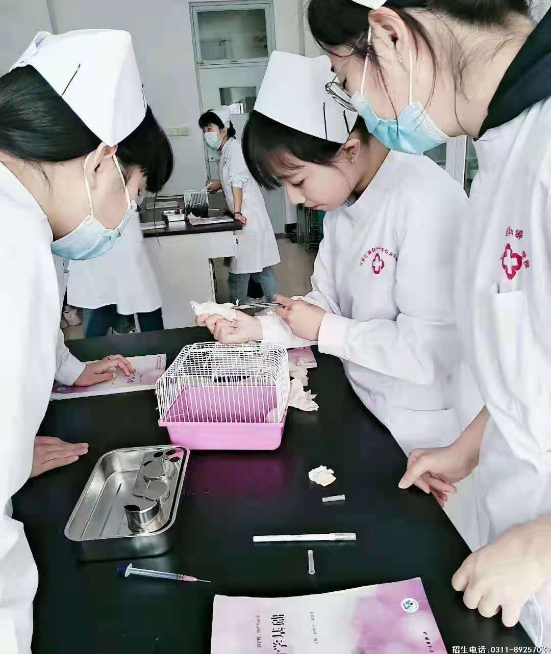 1671452882860588.jpg