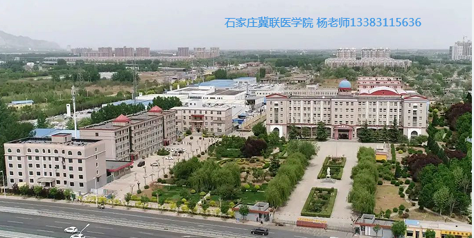 石家庄冀联 医学院本科线.png