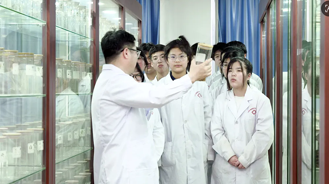 2026年河北单招医学类分数会更高