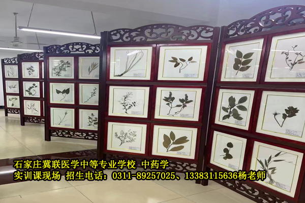 石家庄冀联医学中等专业学校中药标本室-内部图片上千种中药材.jpg