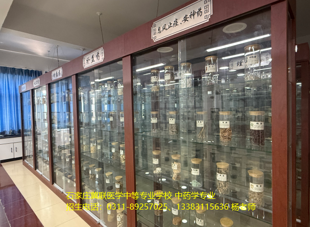 初中毕业学中药学石家庄哪个学校好？